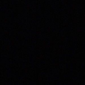 Meet your Posher, Shayne